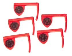 Chamber Flags