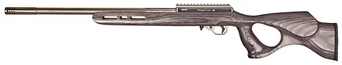 17 WSM Deluxe, Gray TH Stock