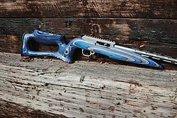 Raptor Stock Rifle