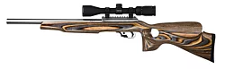 Classic, 22 LR with Brown/Gray Laminated Thumbhole Silhouette Stock, No Threads