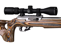 Classic, 22 LR with Brown/Gray Laminated Thumbhole Silhouette Stock, No Threads