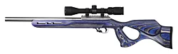 Classic, 22 LR with Blue Ambi Thumbhole Stock, No Threads