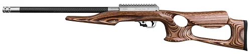 Lightweight, 22 LR with Brown Laminated Lightweight Thumbhole Stock, with RR