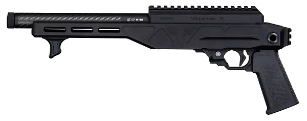 ENV Pistol, 17 HMR, No Brace, with RR