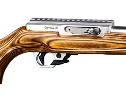 Classic, 17 HMR with Brown Sporter Stock, with RR