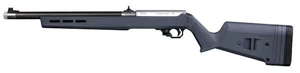 Lightweight 22 LR with Open Sights, Gray, with RR