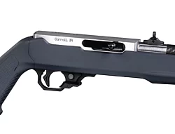 Lightweight 22 LR with Open Sights, Gray, with RR