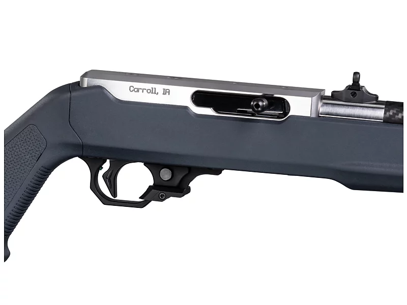 Lightweight 22 LR with Open Sights, Gray, with RR