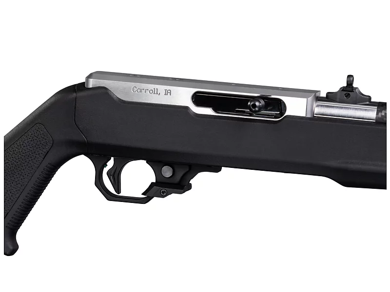 Lightweight 22 LR with Open Sights, Black, with RR