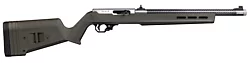 Lightweight 22 LR with Open Sights, OD Green, with RR