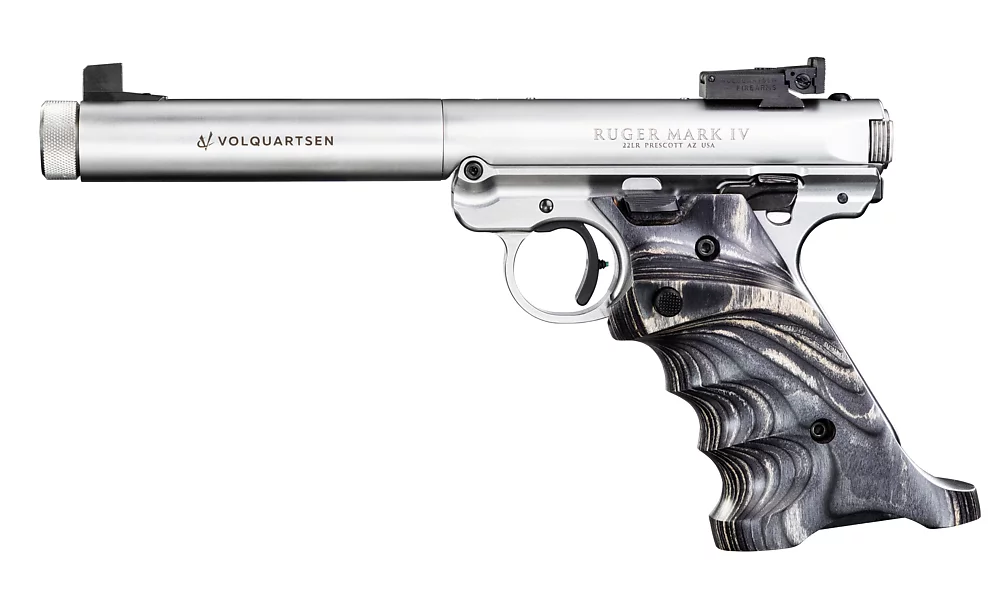 Stainless Pistol