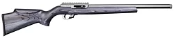 Classic, 22 LR with Gray Laminated Sporter Stock, with RR