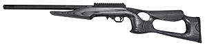 Lightweight, 22 LR with Gray Lightweight Thumbhole Stock