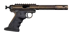 Lightweight Stingray-TF, Bronze Battleworn
