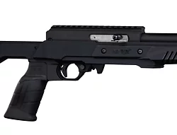 Custom Rifle with Stainless Action [VCS-0593]