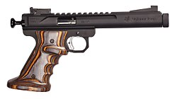 Scorpion with Brown/Gray Grips