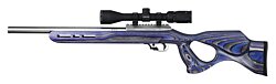 Classic, 22 LR with Blue Ambi Thumbhole Stock, No Threads