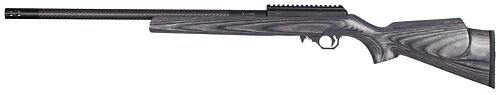 Lightweight WSM with Gray Sporter Stock