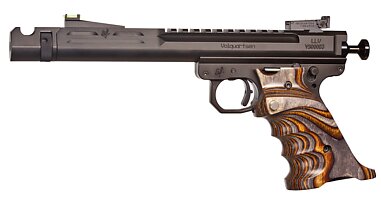 Stainless Scorpion