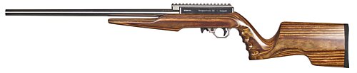 Summit with Ambi Brown Stock