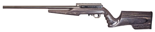 Summit with tapered barrel and gray stock